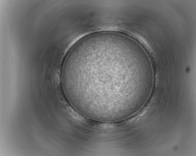 X0000095521212200712211255