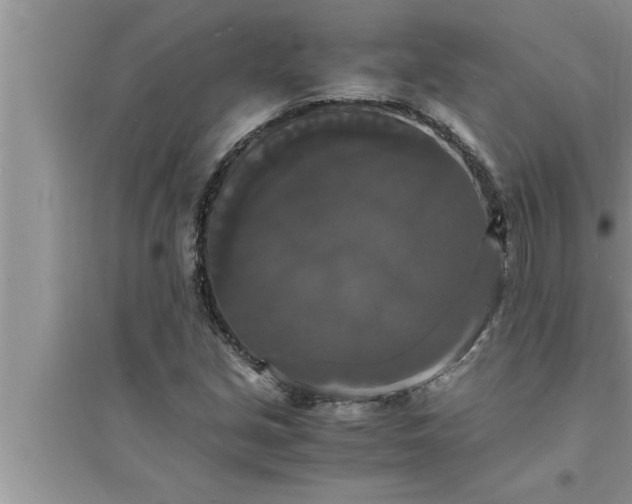 X0000095521213200712211255