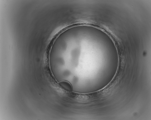 X0000095521215200712211255