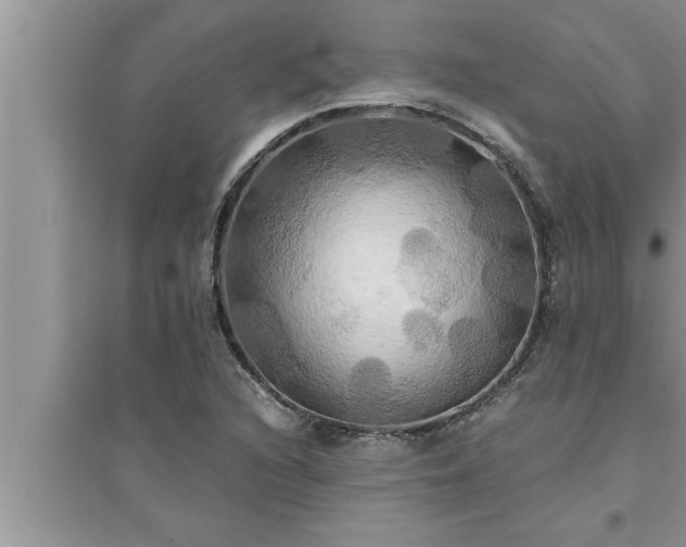 X0000095521216200712211255