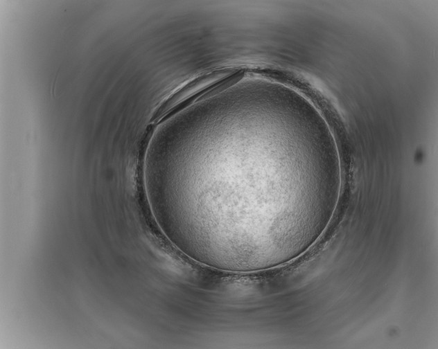 X0000095521217200712211255