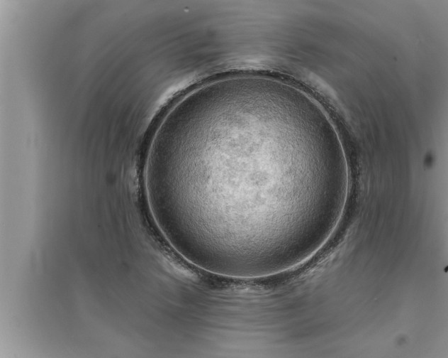 X0000095521218200712211255