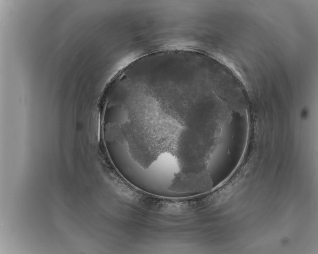 X0000095521219200712211255