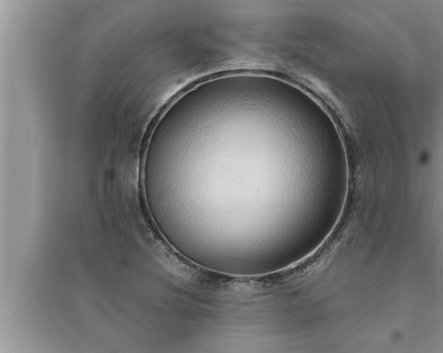 X0000095521220200712211255