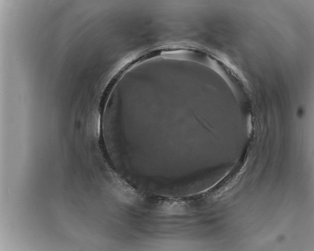 X0000095521221200712211255