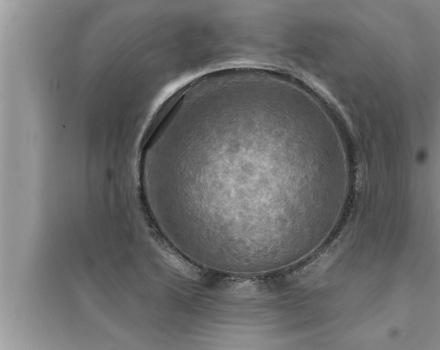 X0000095521222200712211255