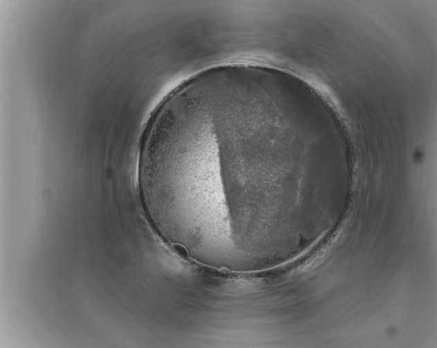 X0000095521224200712211255