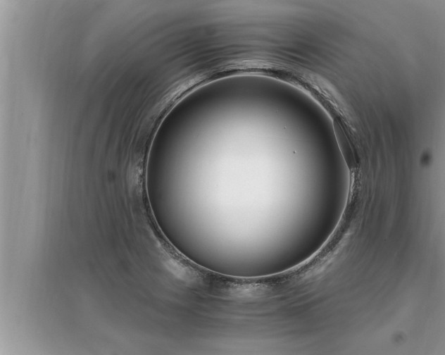 X0000095521225200712211255