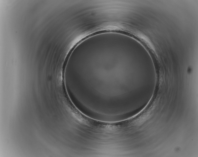 X0000095521226200712211255