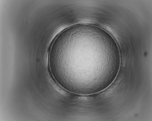 X0000095521227200712211255