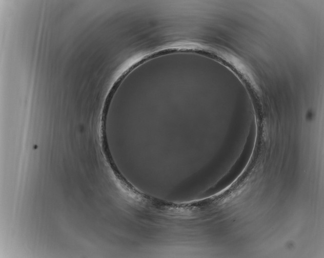 X0000095521229200712211255