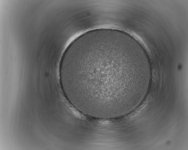 X0000095521230200712211255