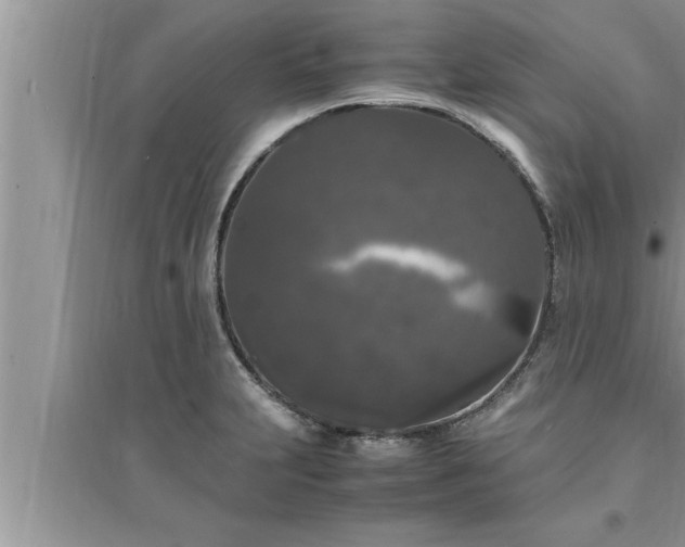 X0000095521231200712211255