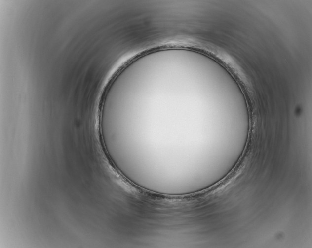 X0000095521232200712211255