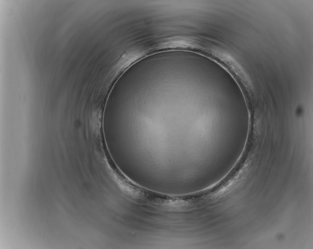 X0000095521233200712211255