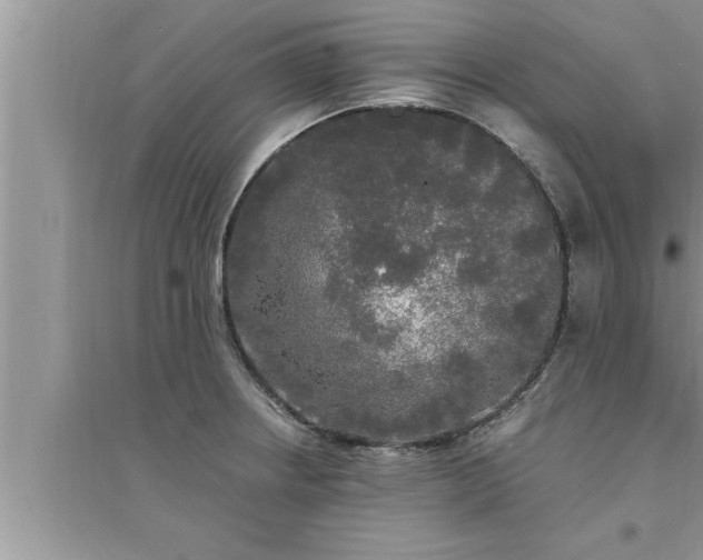 X0000095521234200712211255