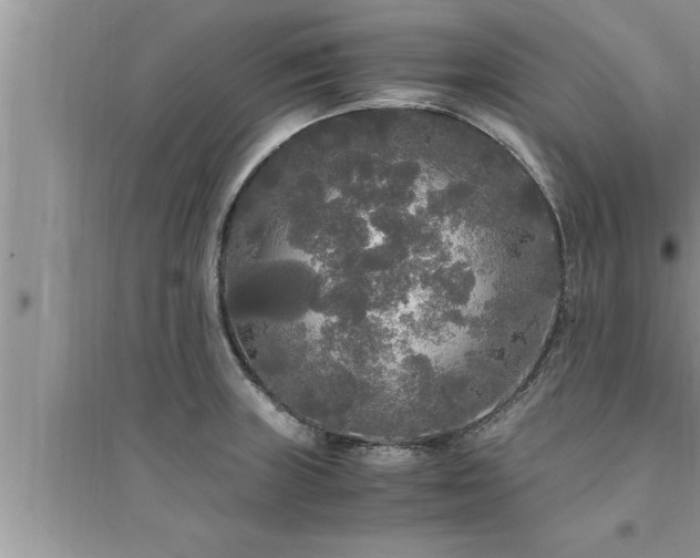 X0000095521235200712211255