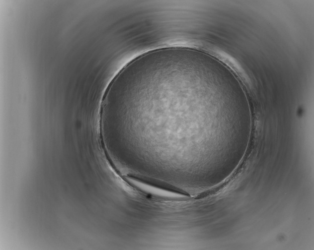 X0000095521236200712211255