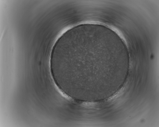 X0000095521237200712211255