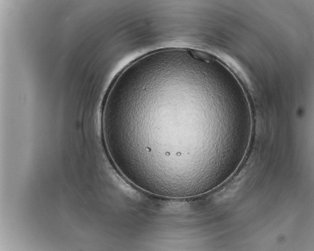 X0000095521238200712211255