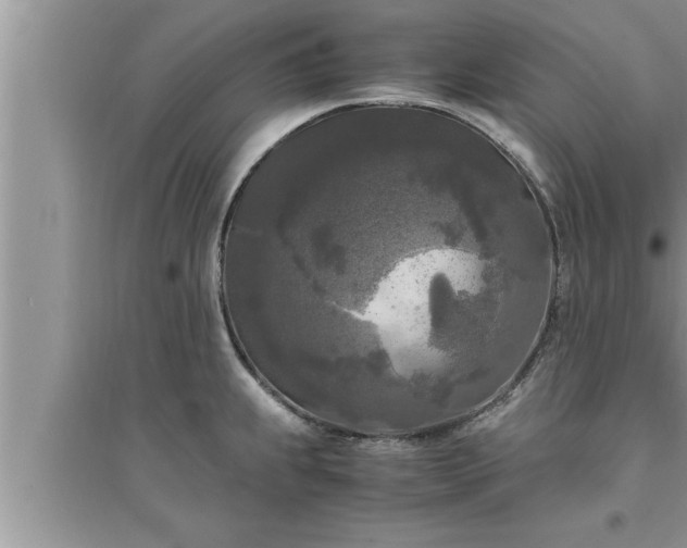 X0000095521239200712211256