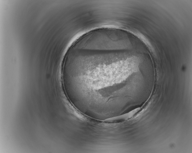 X0000095521240200712211256