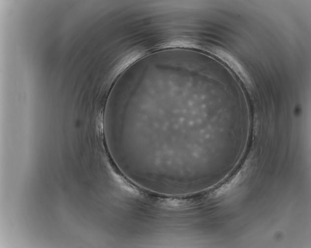 X0000095521241200712211256