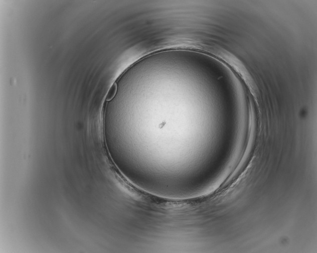 X0000095521242200712211256