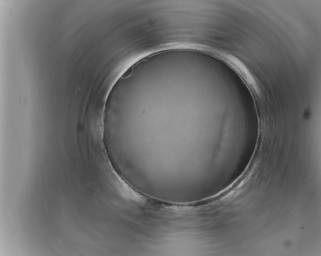 X0000095521244200712211256