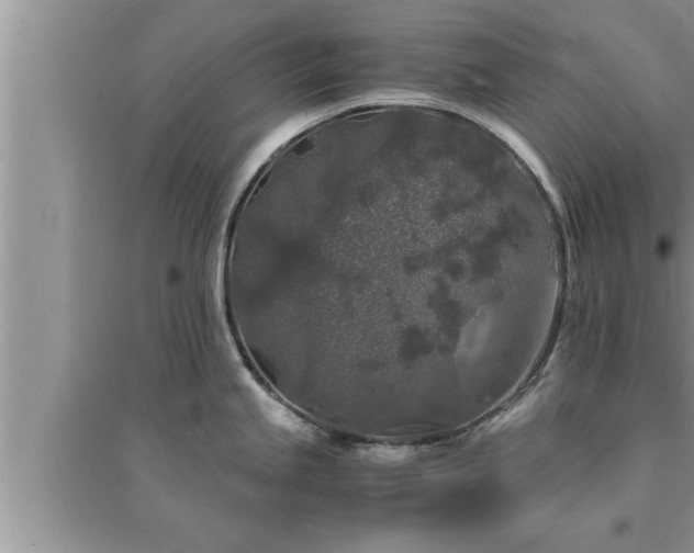 X0000095521245200712211256