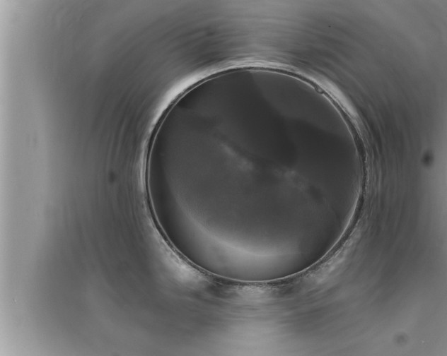 X0000095521246200712211256