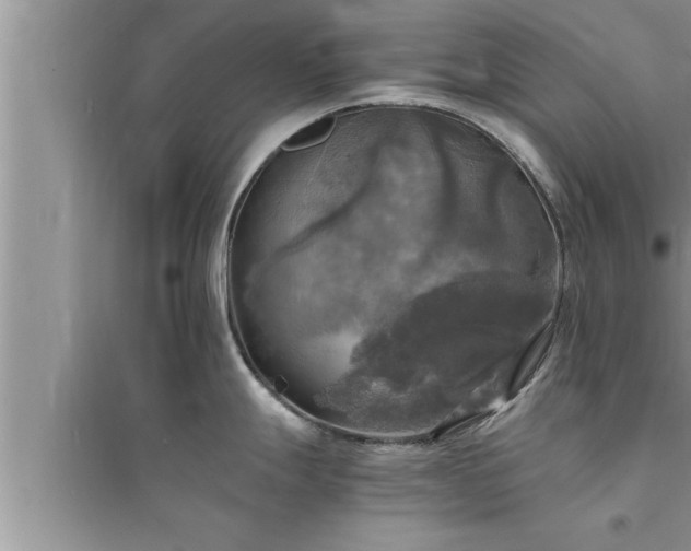 X0000095521247200712211256