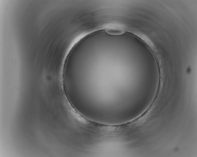 X0000095521248200712211256