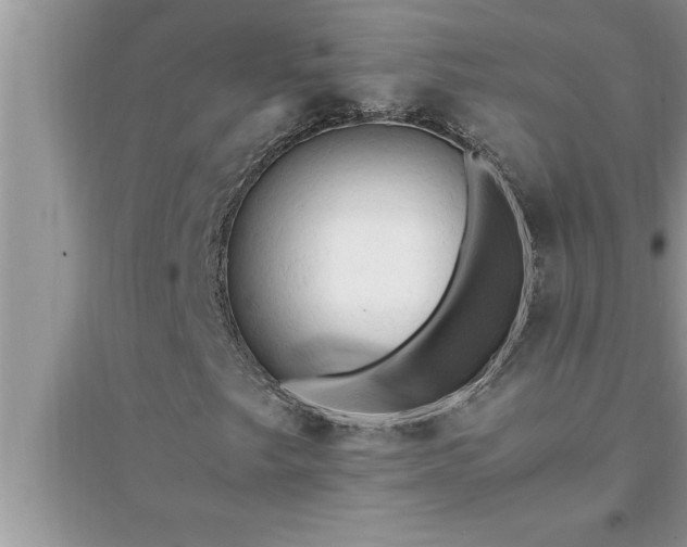 X0000095521249200712211255