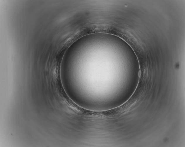 X0000095521250200712211255