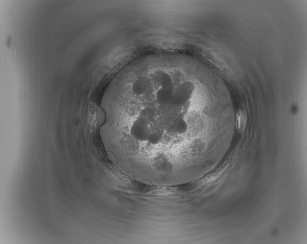 X0000095521251200712211255