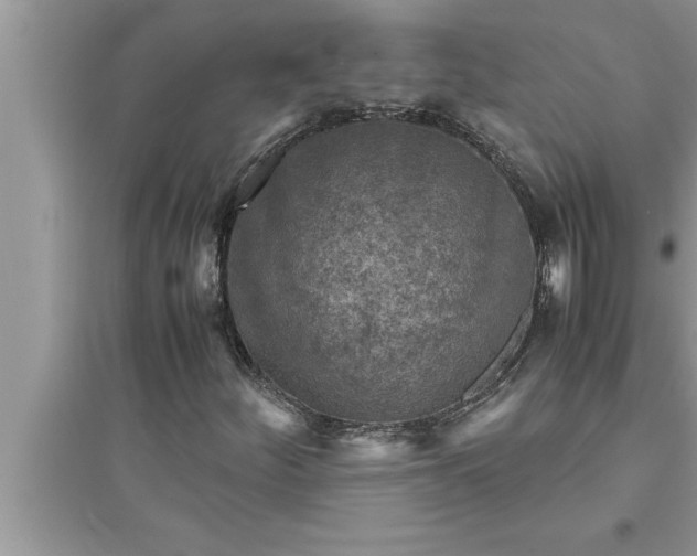 X0000095521252200712211255