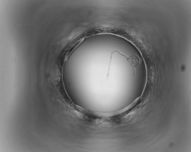 X0000095521253200712211255