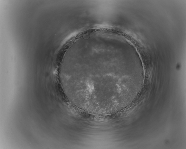 X0000095521254200712211255