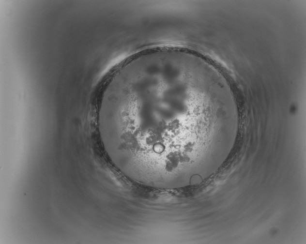 X0000095521255200712211255