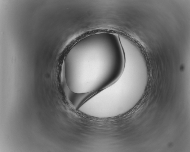 X0000095521256200712211255