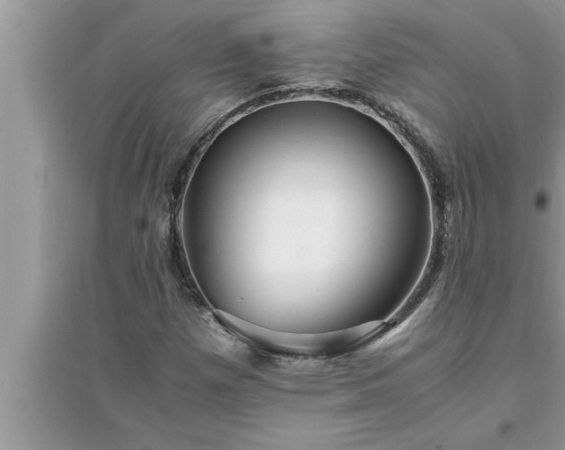 X0000095521257200712211255