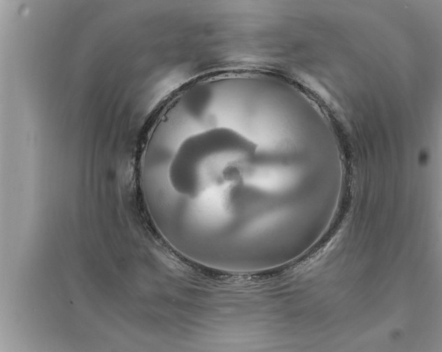 X0000095521259200712211255