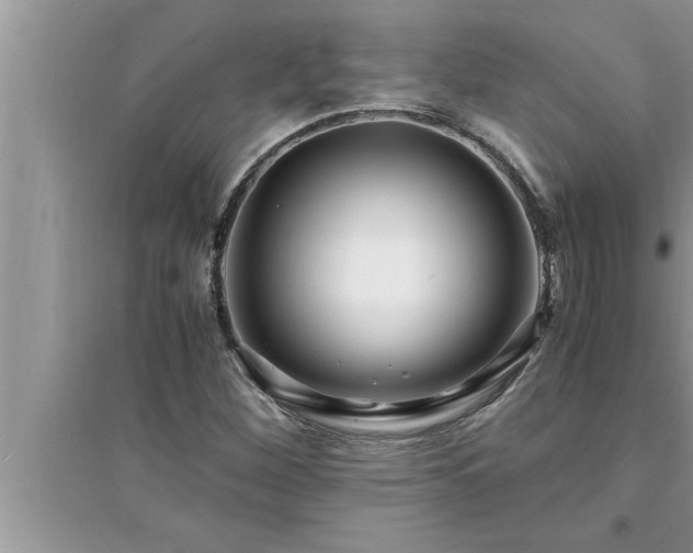 X0000095521260200712211255