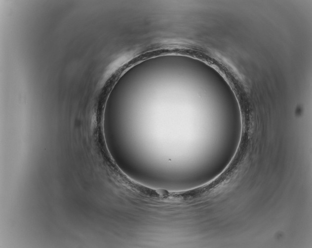 X0000095521261200712211255