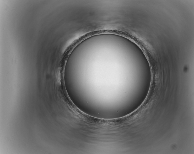 X0000095521262200712211255