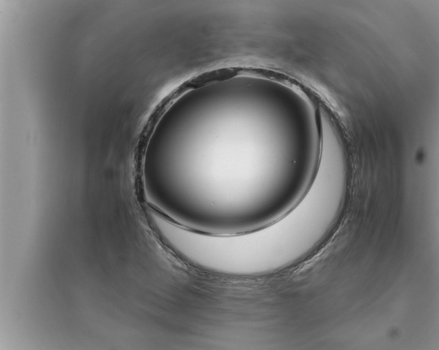 X0000095521264200712211255