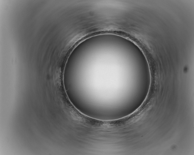 X0000095521265200712211255