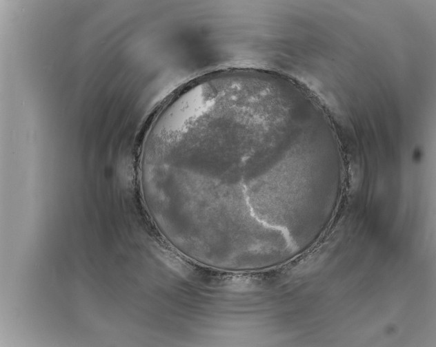 X0000095521266200712211255