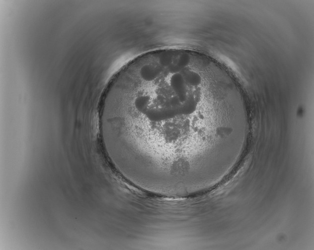 X0000095521267200712211255